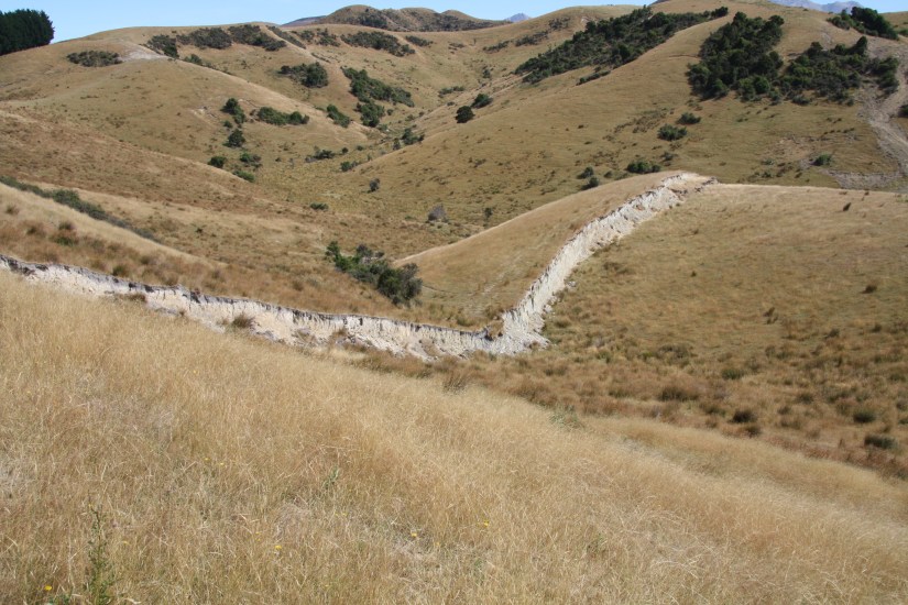 Spectacular slip during the earthquake